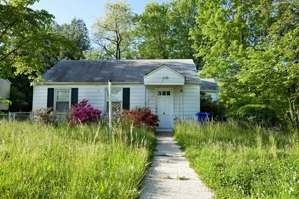 A house with an overgrown yard — the kind of property we buy as-is